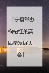 宁夏举办枸杞红茶高质量发展大会